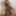 Miss Oll Free Photos