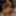 DeluxeDivas.com - Live Chat - Tamiry Chiavari #19