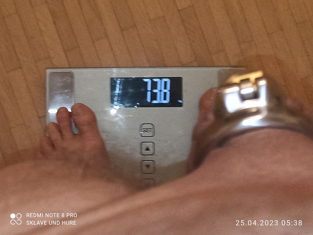 weighing cagecheck 25.04.2023 #36