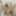 Sexdoll Gina t the toilet #19