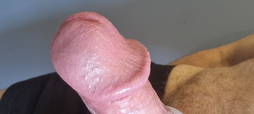 Morning cock #6