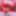 Latest Elisya 2024 hot gif! #2
