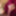 Cosplay Sexy Hot Blowjob with Funny Faces of a Teen Redhead  #46