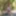 GROOBY-ARCHIVES: Photo Opportunity