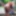  Seksi külot ve topuklu ayakkabılı travesti kellycd2022 