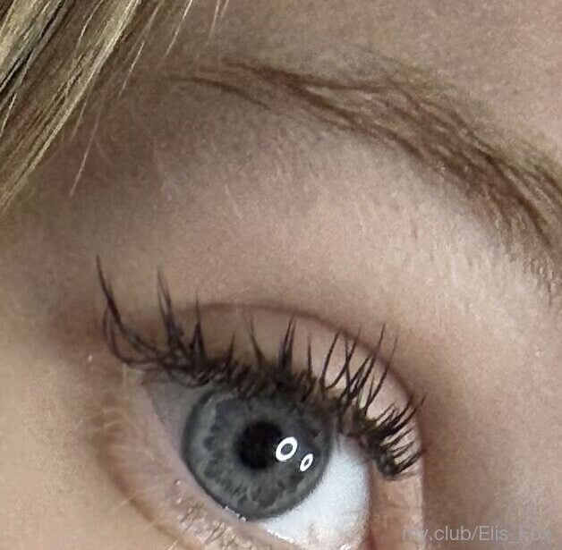 Alice Free Photos #9