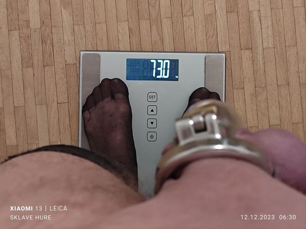 Mandatory weighing cagecheck plugcheck December 12. 2023 #16