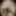 Linda asian ts champagne and big black pearl dildo #31