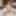 BOBSTGIRLS: Horny Leticia