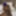 Sex doll fuking