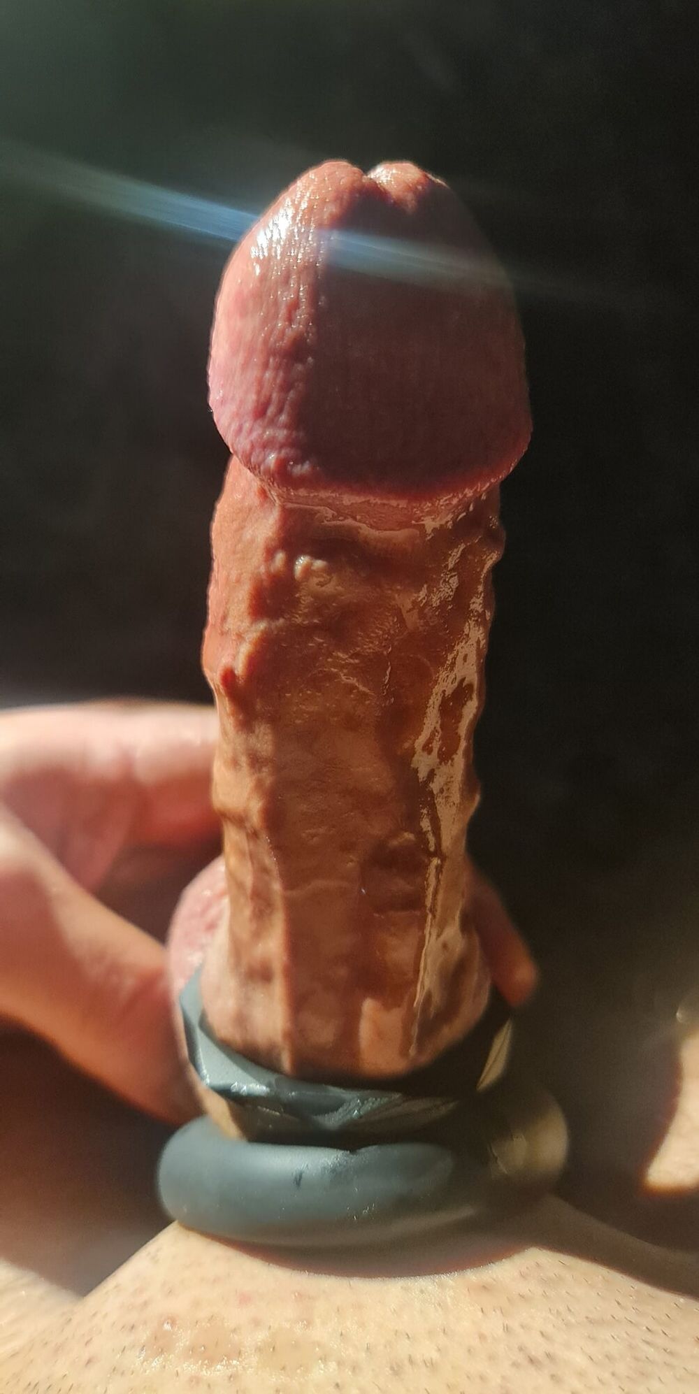 My veiny hard cock in close up #7