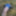 Cover up, reveal #7