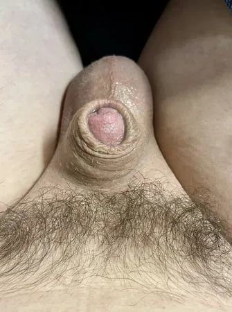 tiny cock         