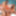 Black-Tgirls：freakii shortii有机会