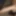 My cock waiting for vagina 