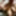 Amateur Wife&#039;s Wild Ride