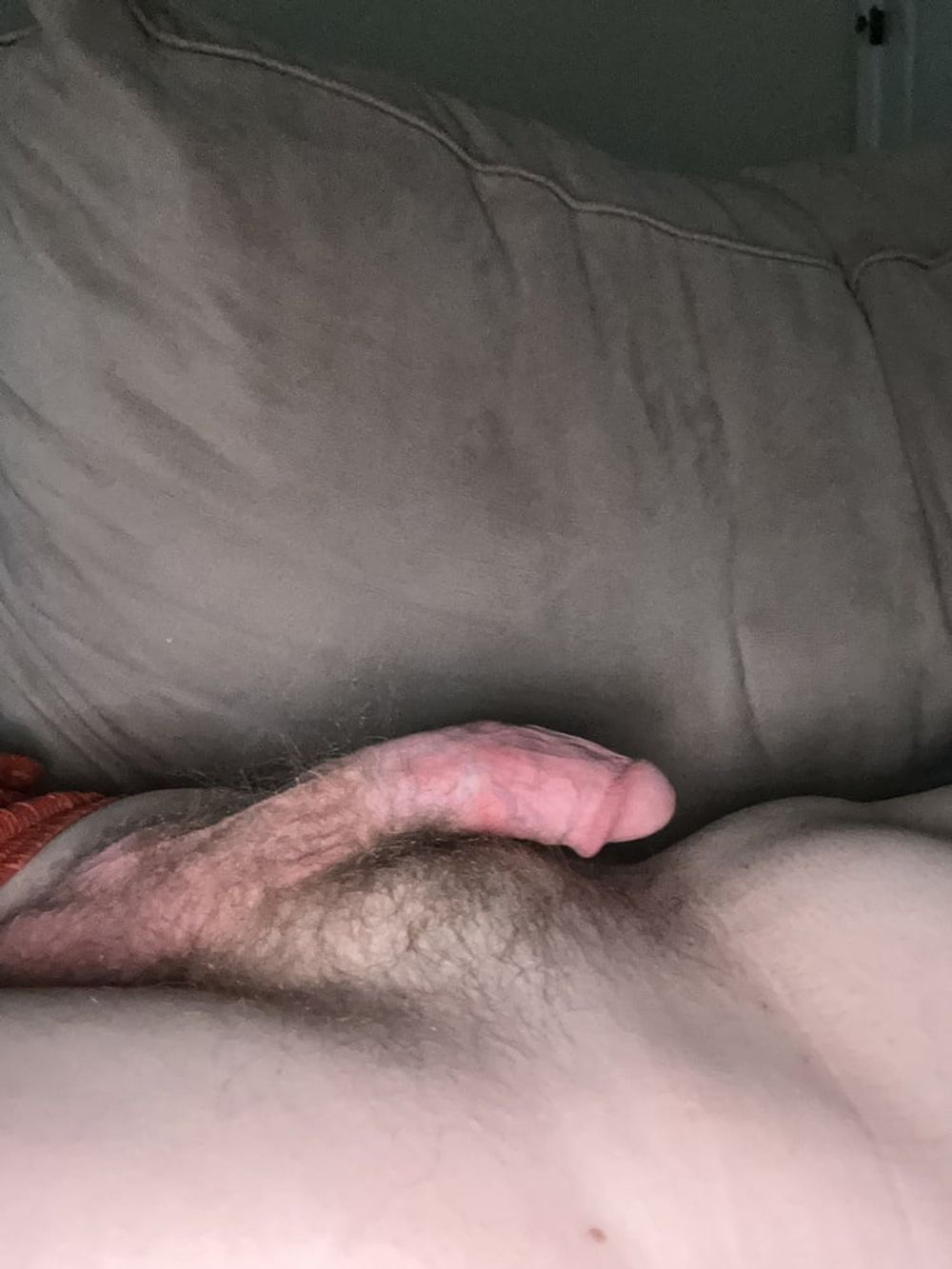 Cock  #3