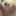 Funny avatars with my cock 🤣🤪