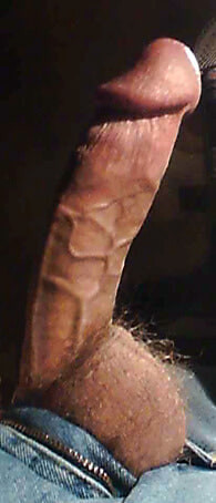 Ximd9000 Cock Pix #30