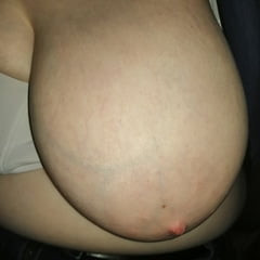 Tits in a car
