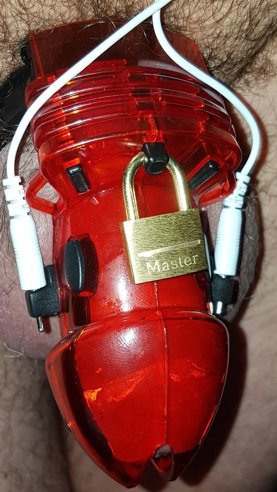 Chastity cage #16