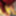 4k Everything Sheisnovember #9 Creampie Nipples BDSM Blowjob