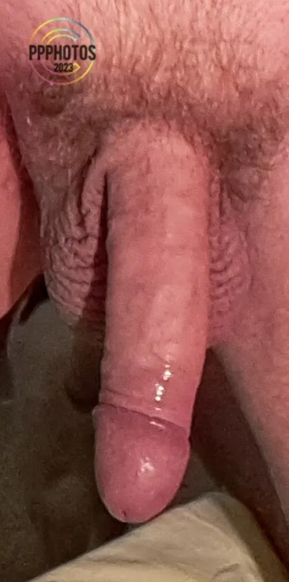 Chubby Masturbator 2