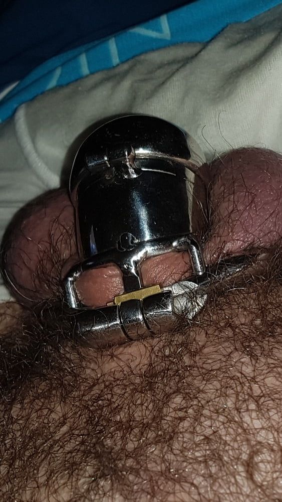 Chastity cage #32