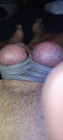 Les oeufs attachés au-dessus de la queue