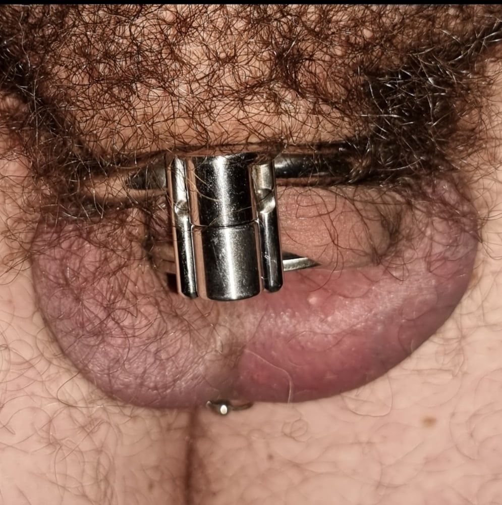 MY NEW CHASTITY CAGE #20
