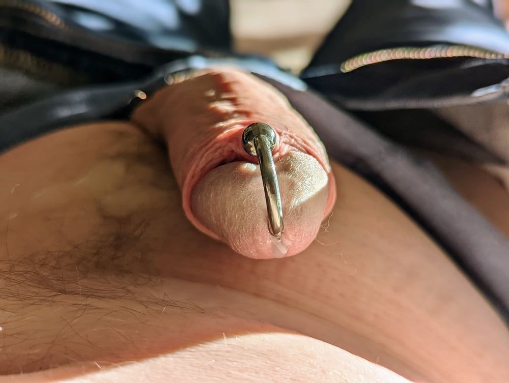 My cock in the afternoon sun  #5
