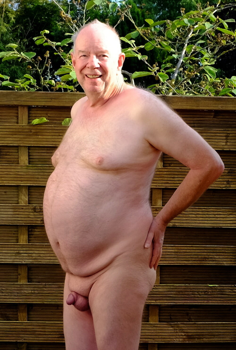 Fat Old Nick peers curiously over the fence