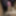 Big Indian cock