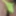 Oiled Bulge in yellow briefs #6