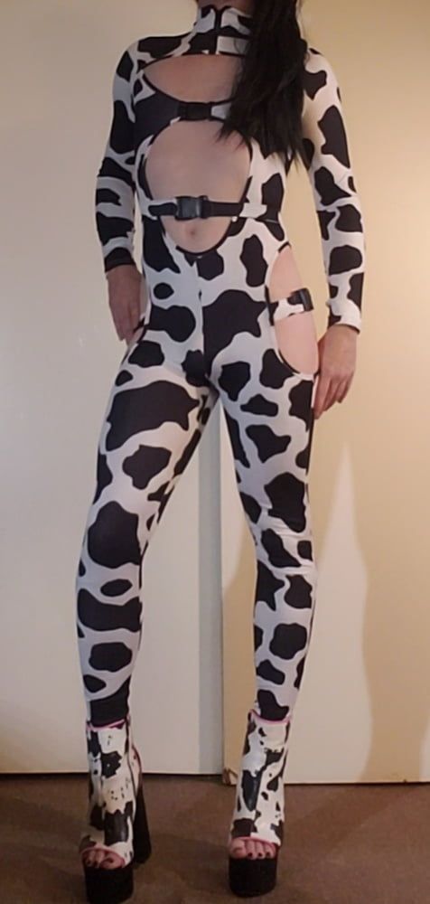 Cow Slut in Her Spots #22