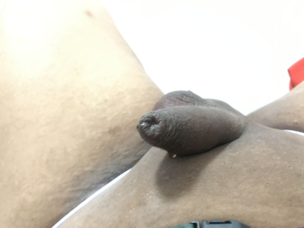 Chubby amateur anal dildo #16