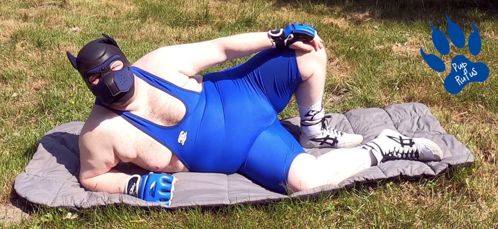 Pup relaxing in wrestling singlet #2