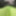 Lime spandex collection 2  #10