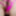 Pink string bikini ,pink metallic dress and some dildo 