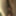 My Hard Cock (Easter) April 21 2025 #24