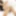 ASIANTGIRL: Gusbell&#039;s Sticky Climax!