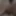 Tiny Cock