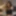 Free Luna Photos