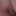 fette sau sissy mit clitty