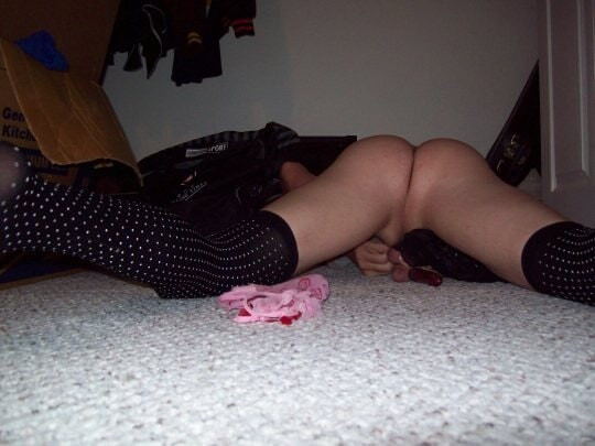 Misc Pics #3