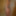 Kinky beauty masturbates in the shower for me #54