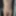 weighing, nipple torture and cagecheck of 01.02.2023