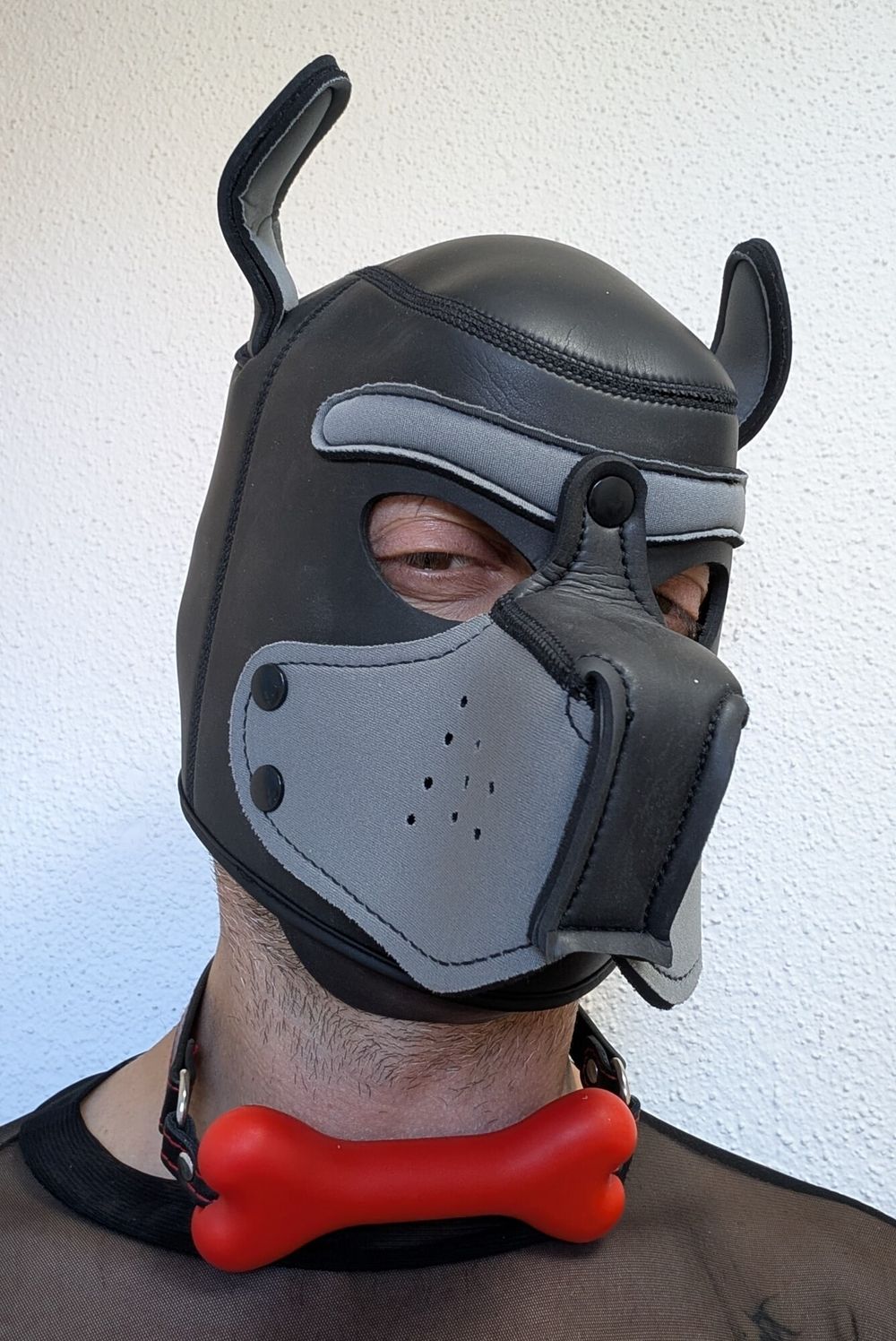 Meet your Sir - Master - Dom - Handler - Wolf #3