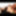 HardX Animated GIFs Gallery #5