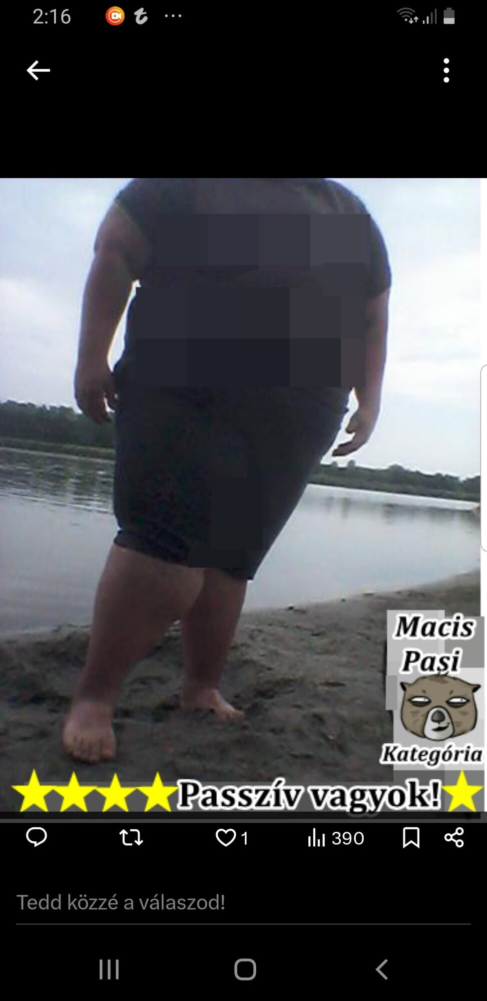 My pictures 